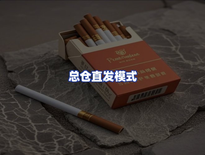 专业团队